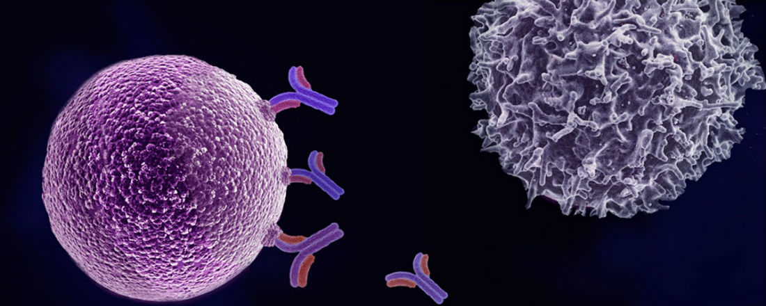 Один из методов борьбы с раком — иммунотерапия. Как это работает?