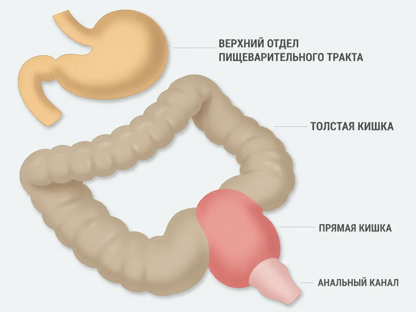 Схема источников крови в стуле