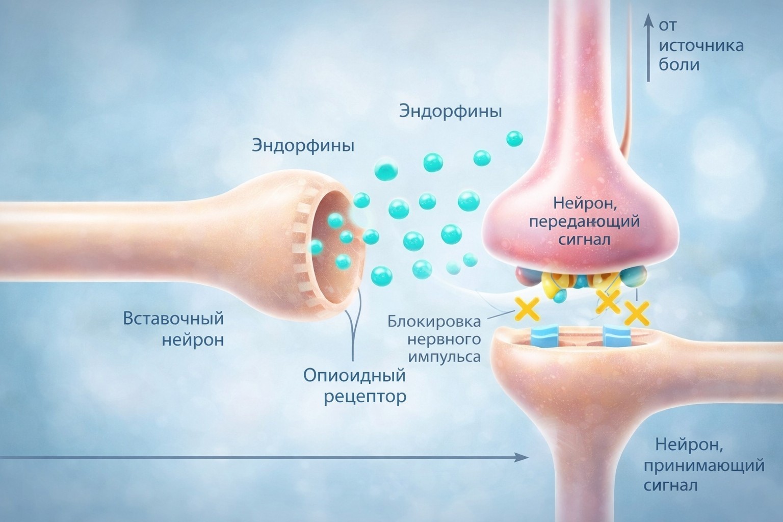 Схема приглушения боли