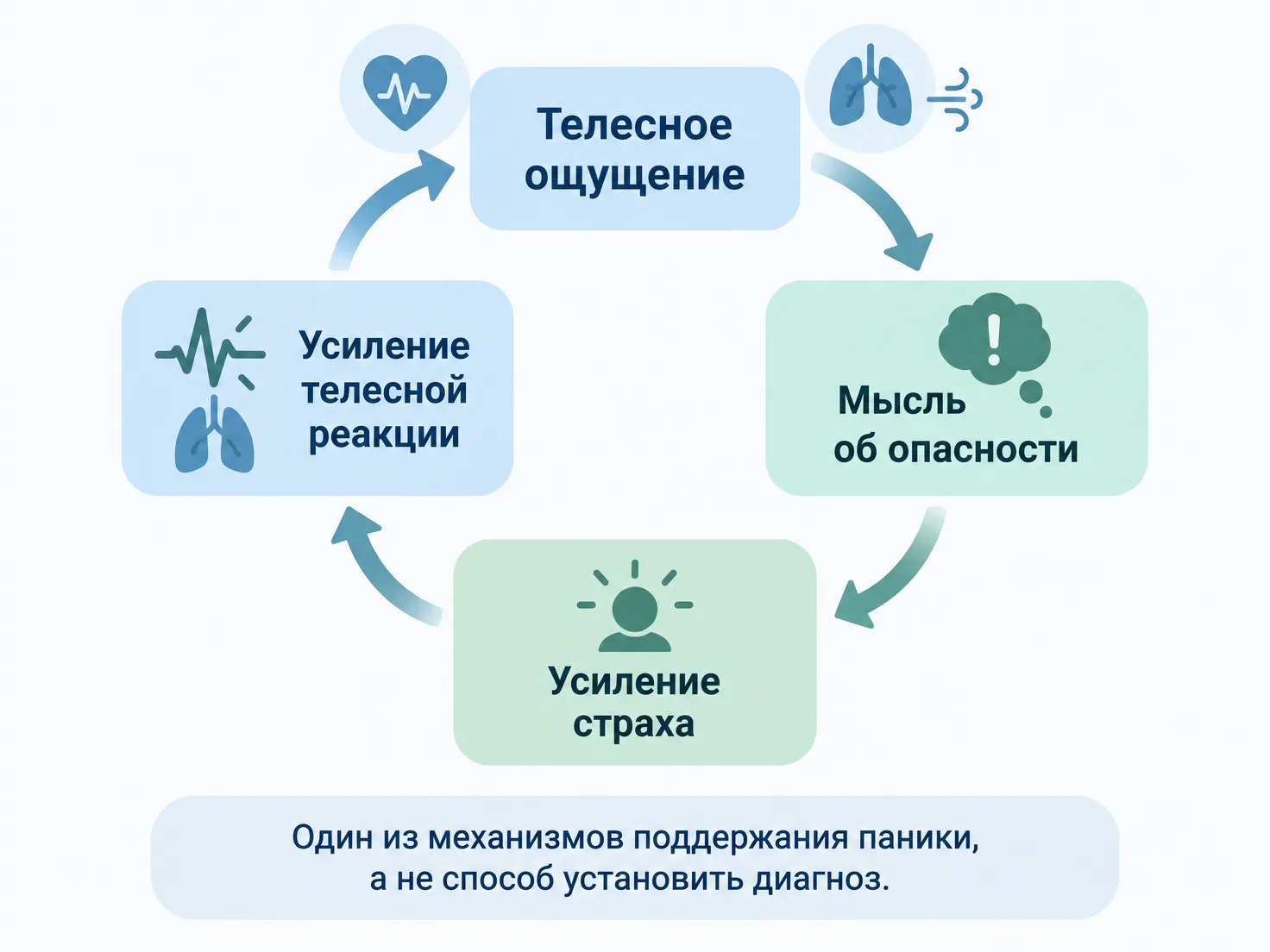 Круг усиления паники: ощущения, пугающие мысли и страх