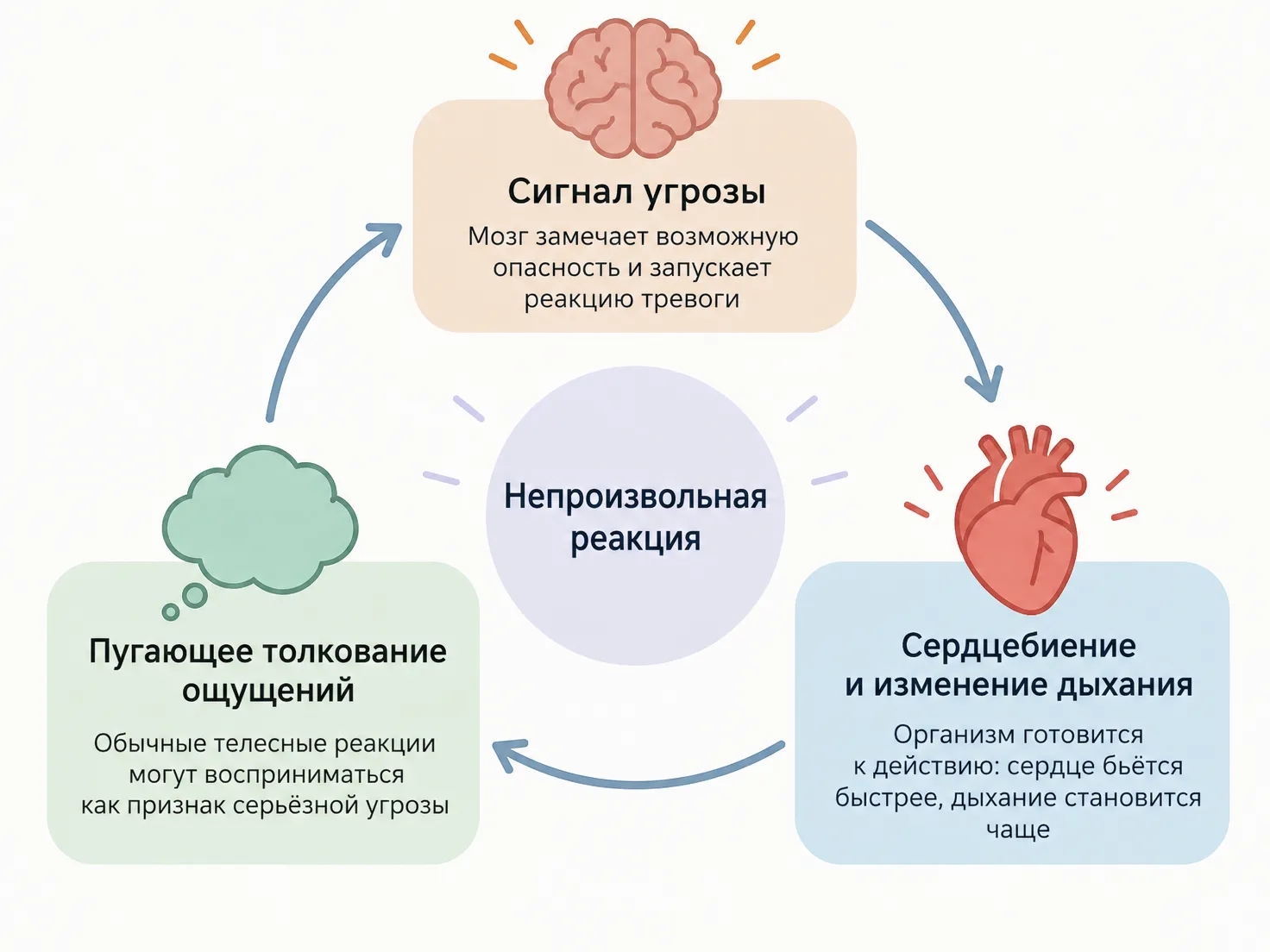 Круг усиления тревоги и телесных ощущений при паническом приступе