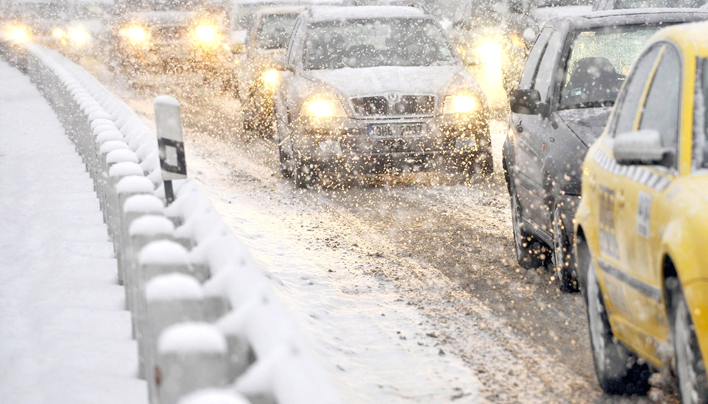 Почему ещё ничего не цветёт, а аллергия уже началась?