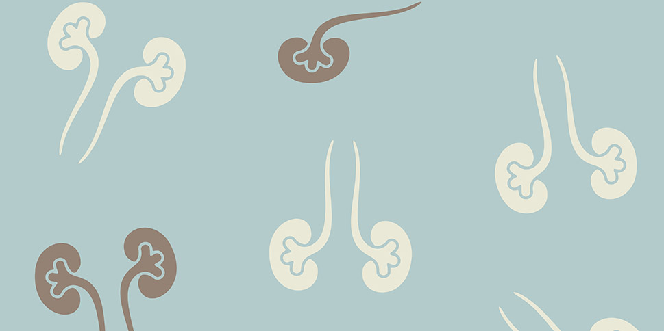 Ученые пересадили здоровым людям 10 почек от больных гепатитом C