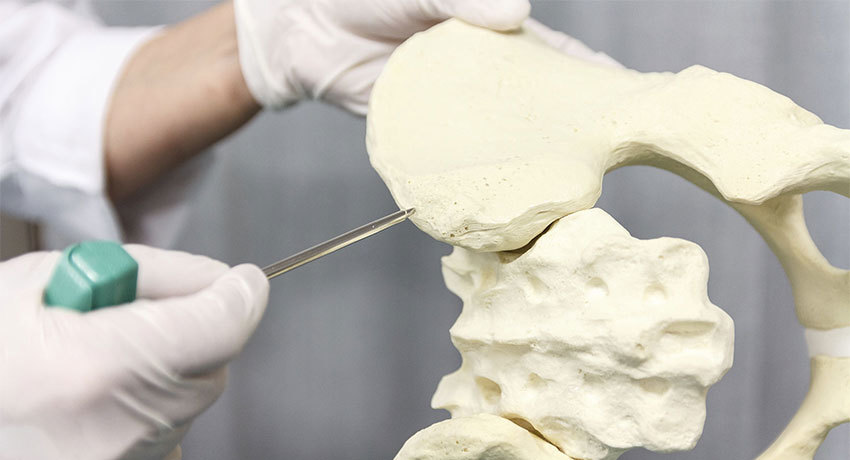 Биопсия кости