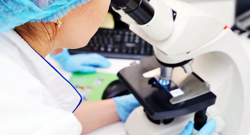 Исследование биоматериала