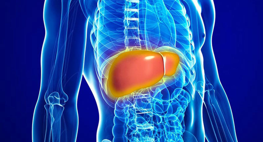 Биопсия печени