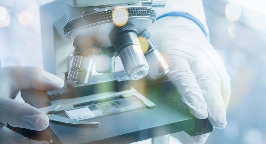 Биопсия почки