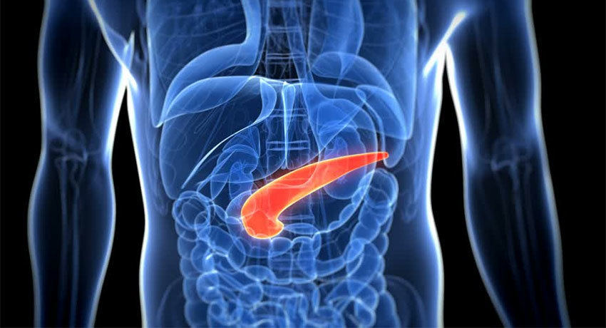 Биопсия поджелудочной железы