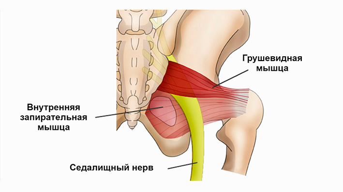 blokada-grushevidnoj