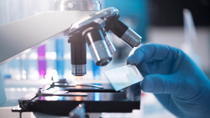 fibroadenoma-gistologiya