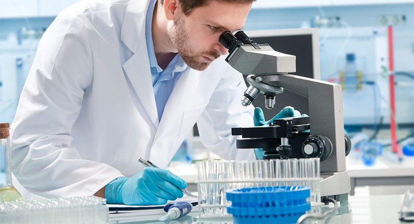 Гистологическое исследование