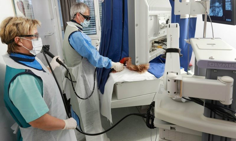 паллиативное лечение4