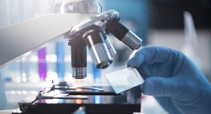 Иммуногистохимическое исследование