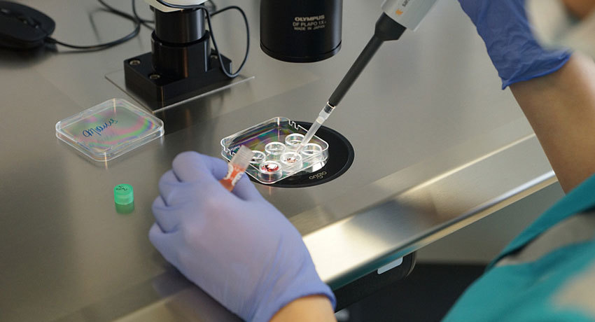 Иммуногистохимическое исследование