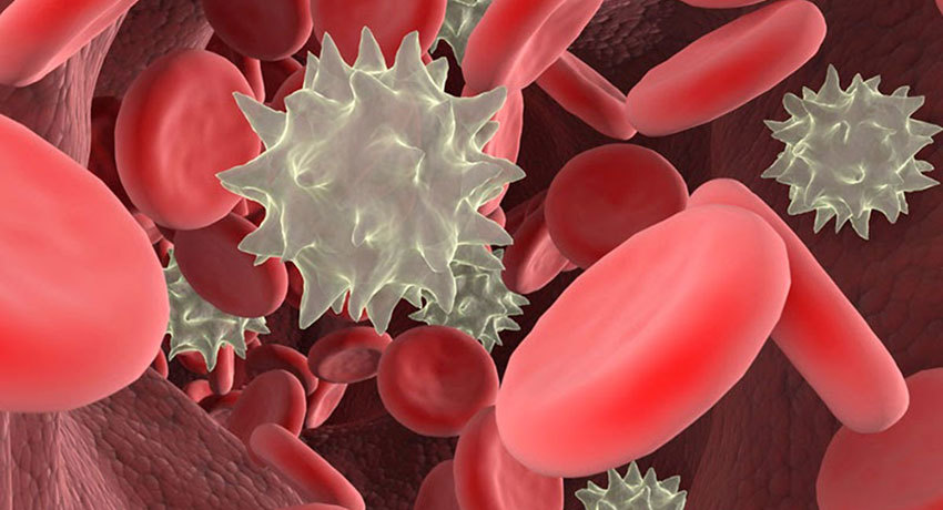 Лечение лейкоза