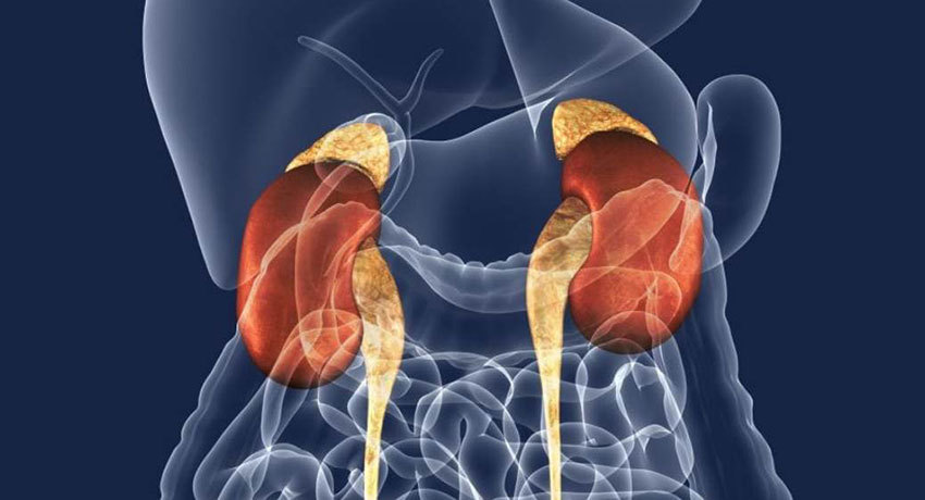 Метастазы надпочечников