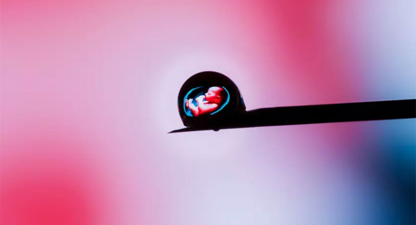 Можно ли забеременеть при раке