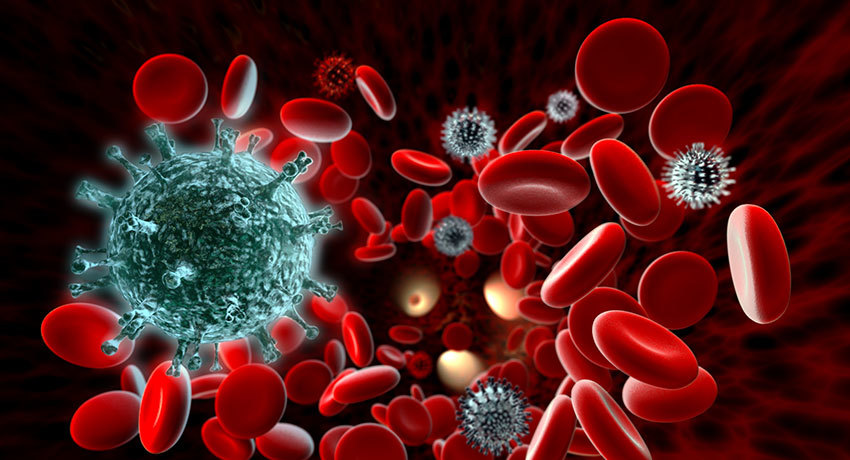 Очищение крови в международной клинике Медика24