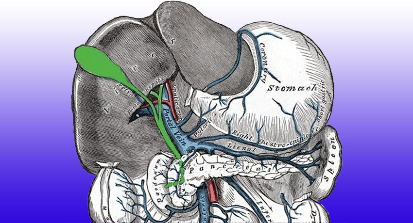 Лечение опухоли Цлацкина