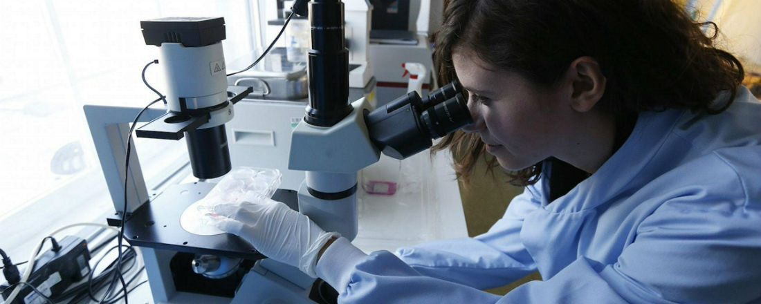 Ученые нашли новый тип иммунотерапии против рака яичников и поджелудочной железы