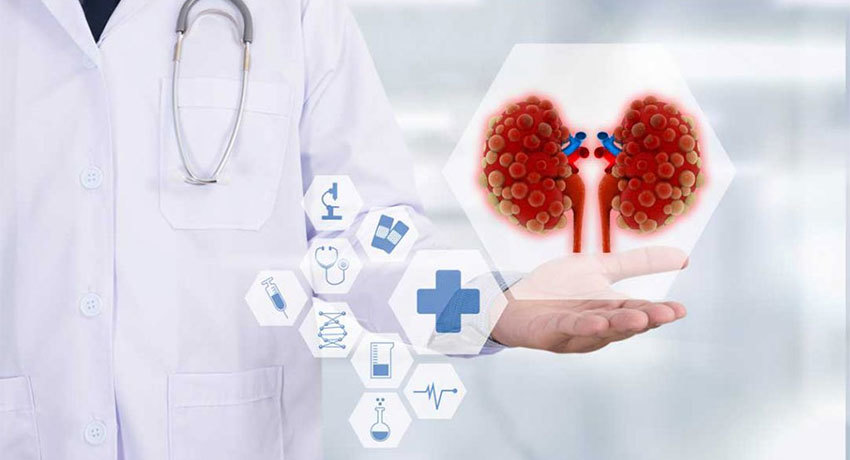 Лечение почечной недостаточности в международной клинике Медика24