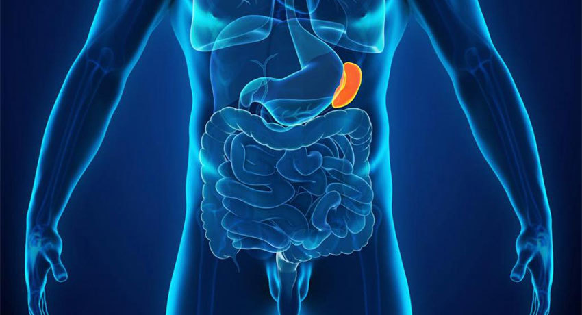 Заболевания селезёнки