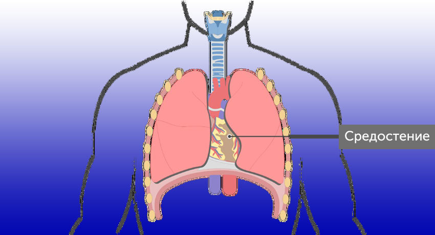 Средостение
