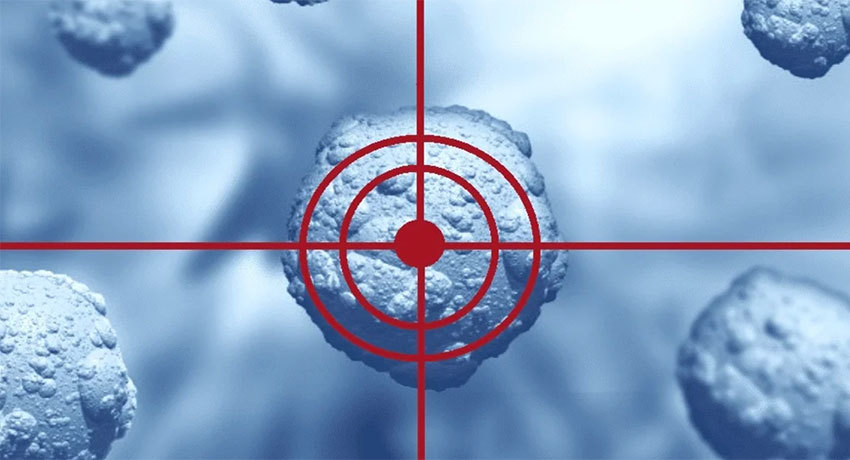 Таргетная терапия при раке молочной железы